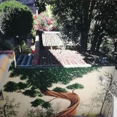 Suite Farniente Avec Patio Et Clim Montpellier Luaran gambar