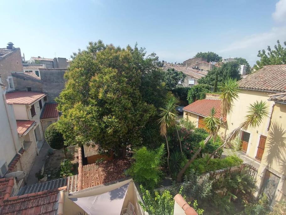 Suite Farniente Avec Patio Et Clim Montpellier Luaran gambar